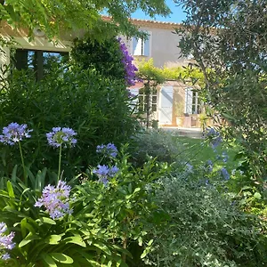 La Paradoune 2 Paradou